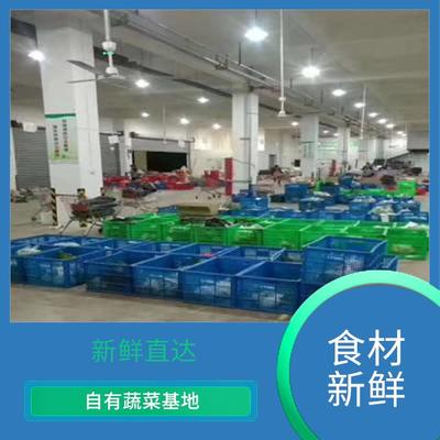 从田间到餐桌 东莞蔬菜种植与配送服务的发展与融合