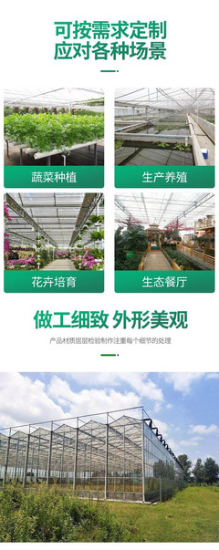 阳光智能温室BK11 现代玻璃温室引领蔬菜种植新潮流