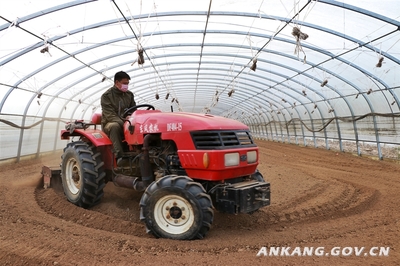 全市农业产业化重点龙头企业高效复工 保障蔬菜供应稳定