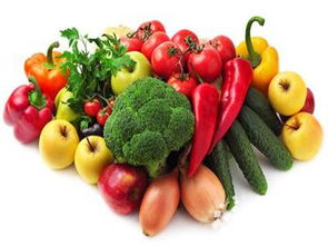 京津冀三地携手，共绘蔬菜产业新篇章