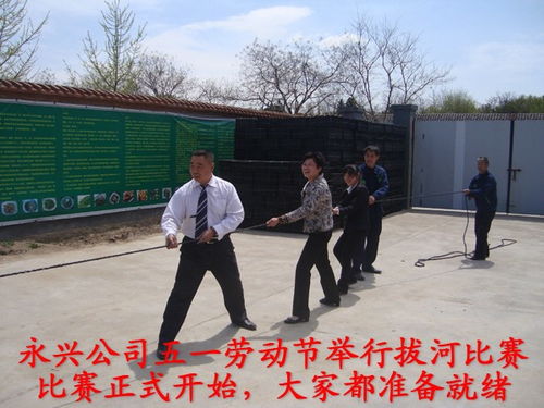 绿意蔓延舌尖新芽 都市芽苗菜种植与健康生活新选择