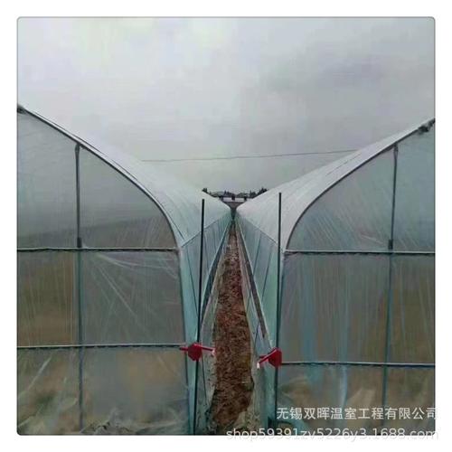 温室大棚设计安装蔬菜大棚骨架一亩地多少钱水果种植大棚卡槽卡簧
